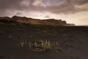East Iceland