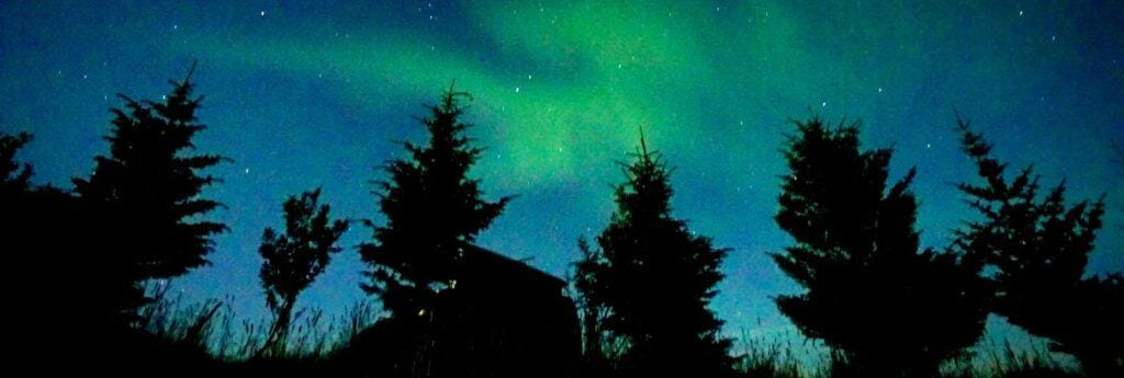 northen lights in the skye above a forest