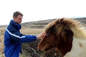 Icelandic Horses Icelandic Horses