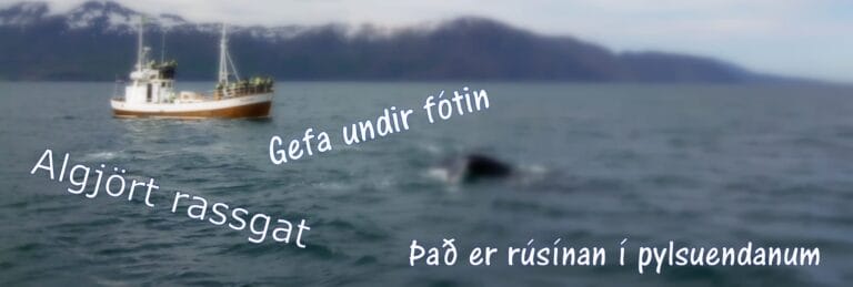 Icelandic phrases