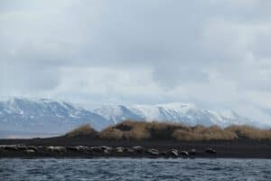 Snæfellsnes