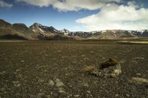 The Wild Iceland