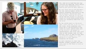 What to do in Westman islands What to do in Westman islands