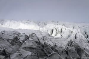 Wild Iceland