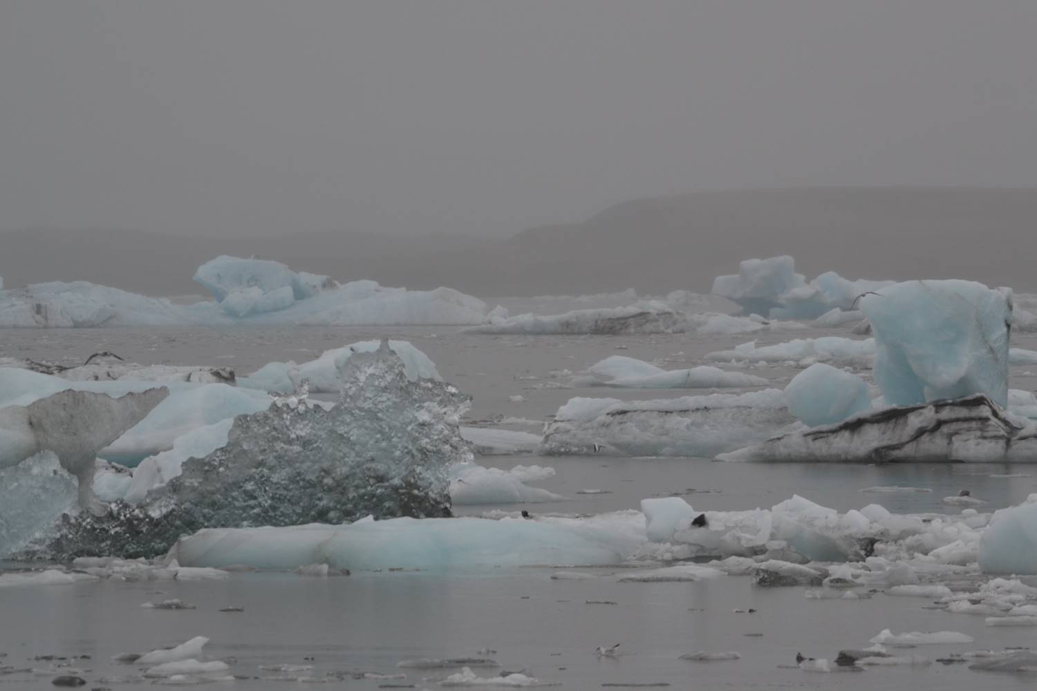 Jökulsárlón glacier lagoon Jökulsárlón glacier lagoon