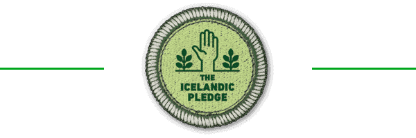 The Icelandic pledge The Icelandic pledge