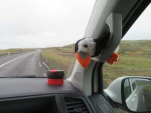 Vanessa the Puffin