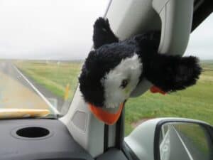 Vanessa the traveling Puffin