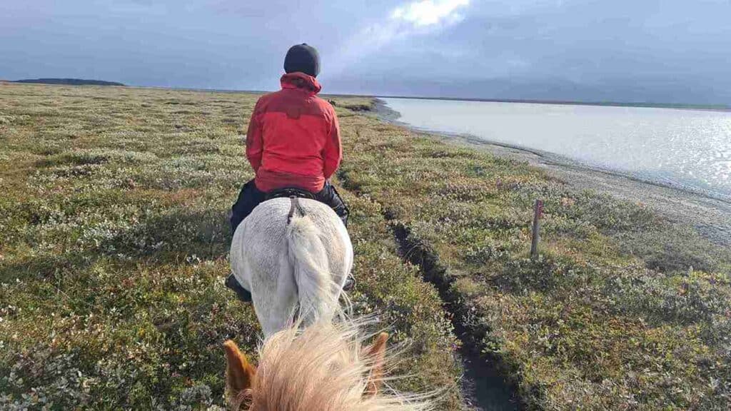 Horse riding