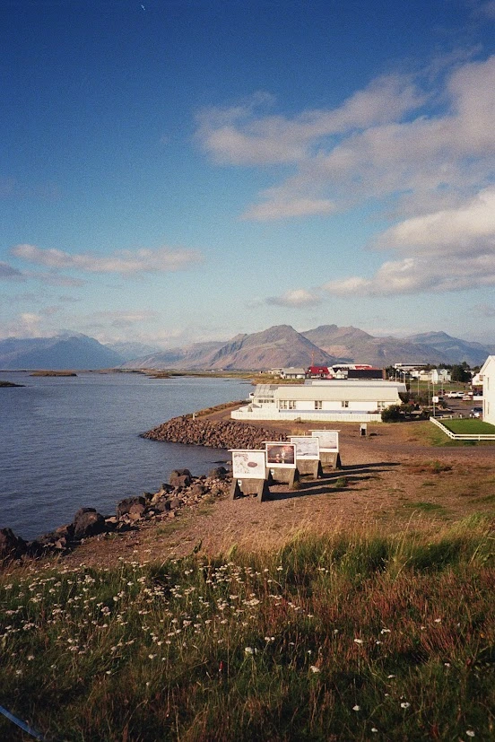 A small town by a fjord / on film