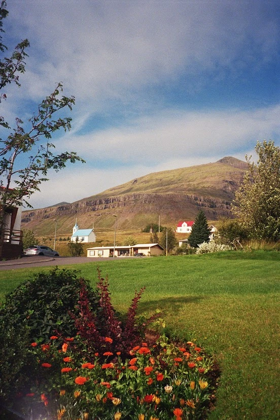 A town with alot of greenery and flowers